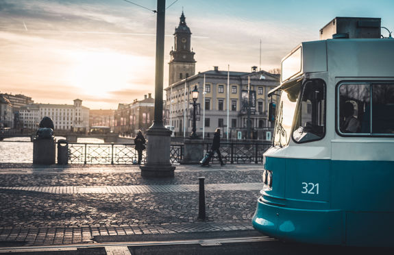 Shutterstock 636029168 (1).